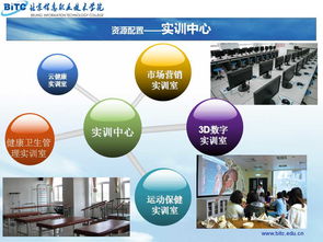 北京信息職業(yè)技術(shù)學院招生網(wǎng)信息技術(shù)咨詢服務指南